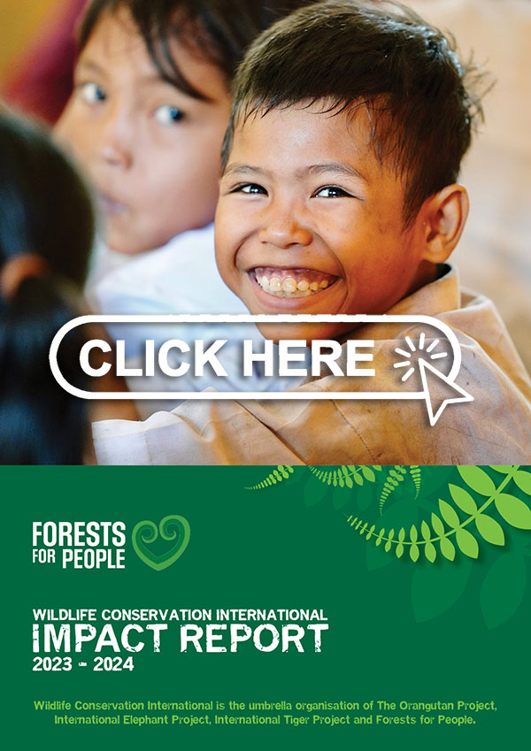 Download our Impact Report